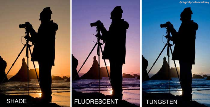 digitalphotoacademy