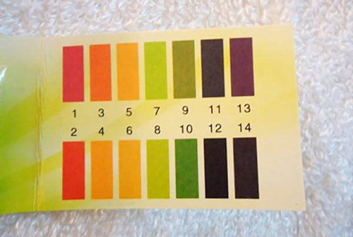 对色灯箱检测pH试纸颜色